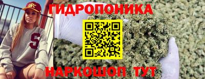 гашик Краснокаменск